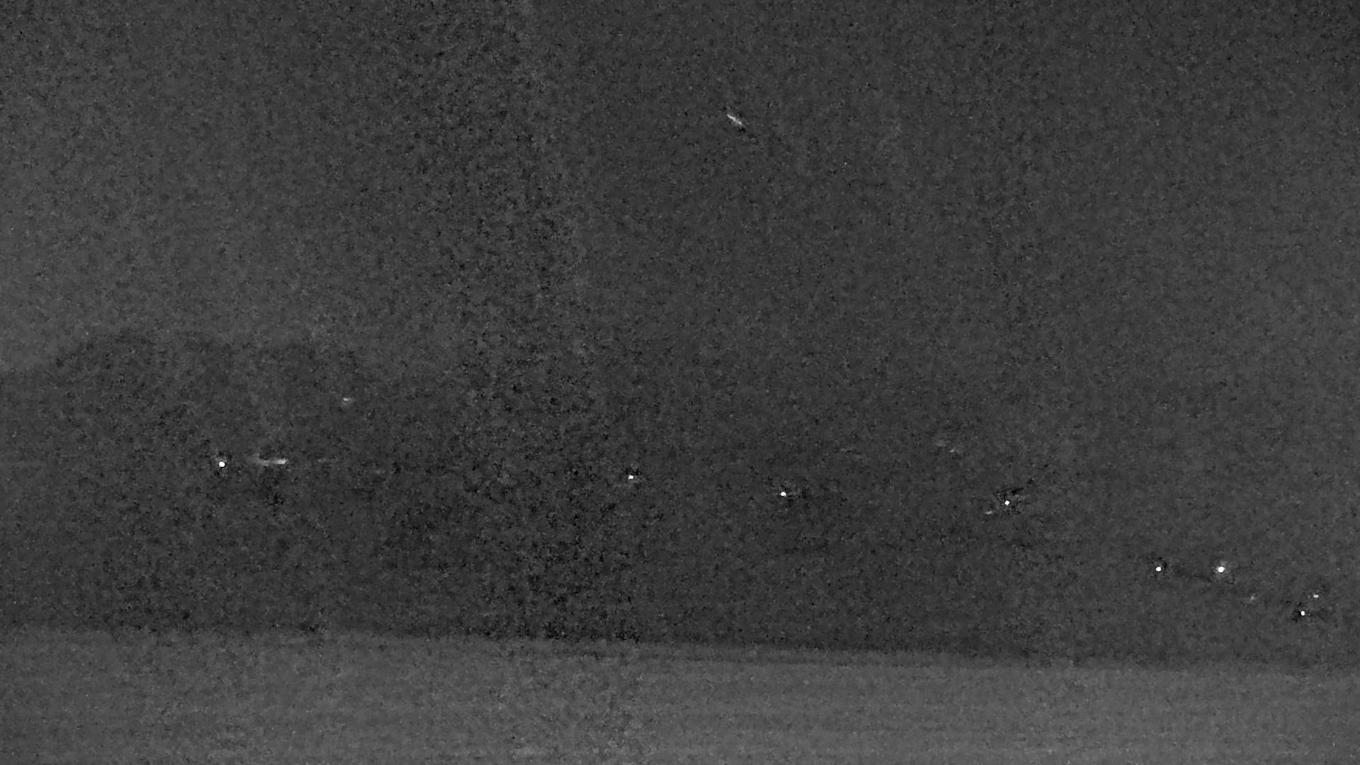 Live WebCam