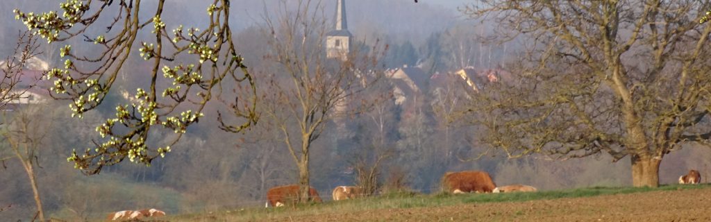 Kirche in Krautheim